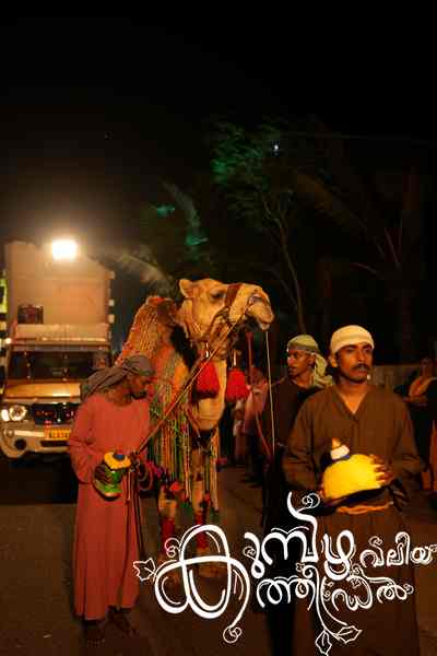 Christmas 2025 Photo